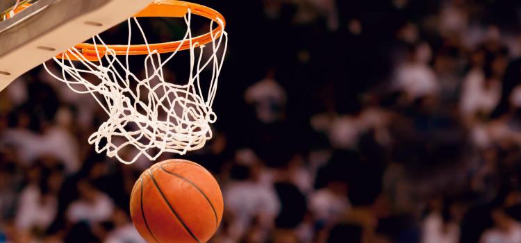 nautilus.lindberghhotels it hotel-pesaro-per-final-eight-vitrifrigo-arena 008