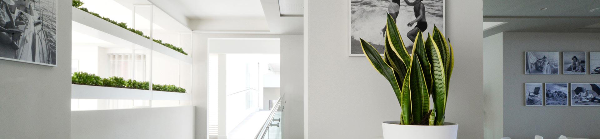 nautilus.lindberghhotels it commenti 007